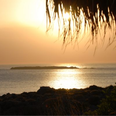 fala_sunset-1030x700 (1)